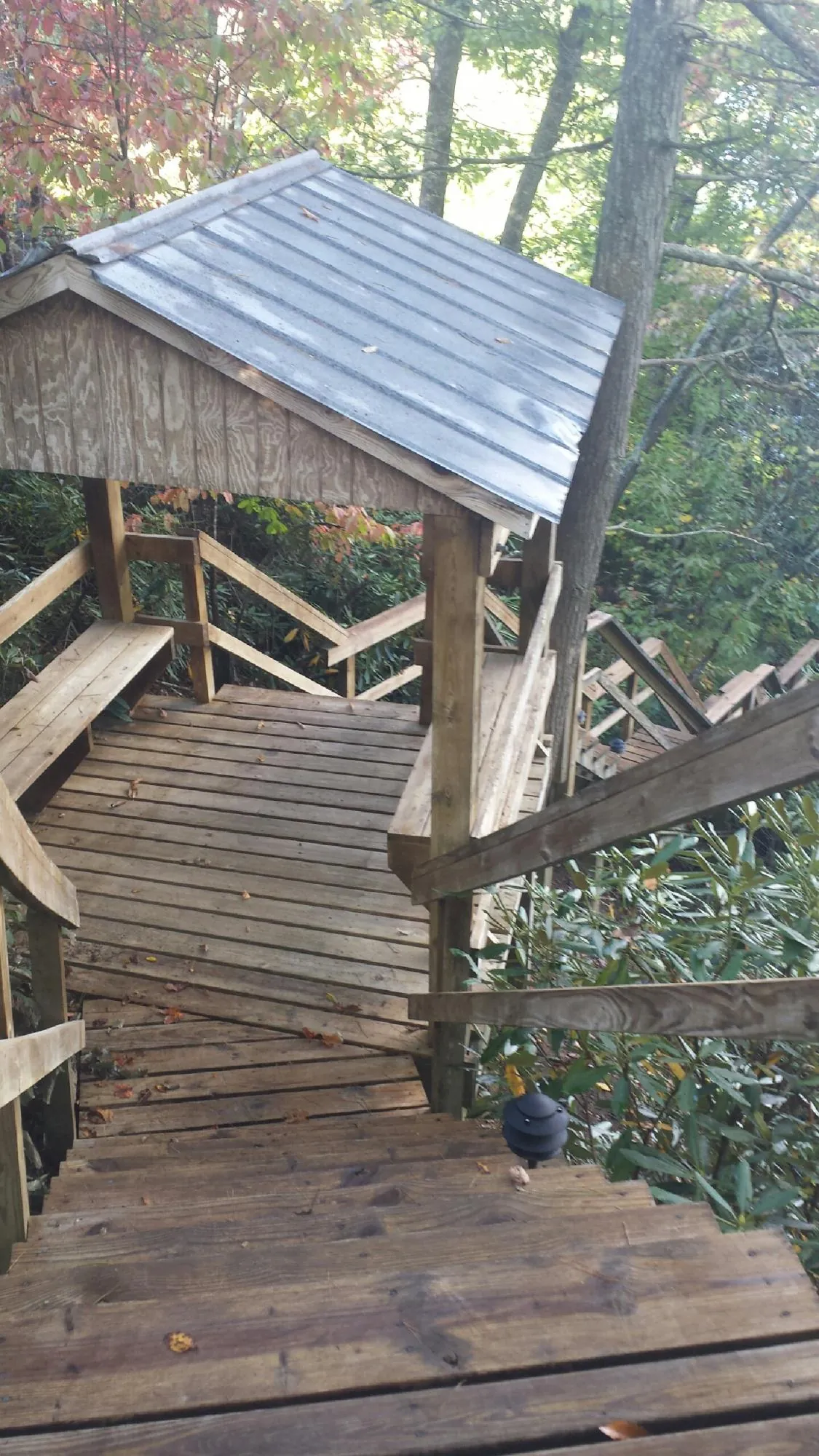 Metal roofed shelter over wooden steps on a wooded walkway — Skylight Repair & Installation work by our crew in Cape Girardeau